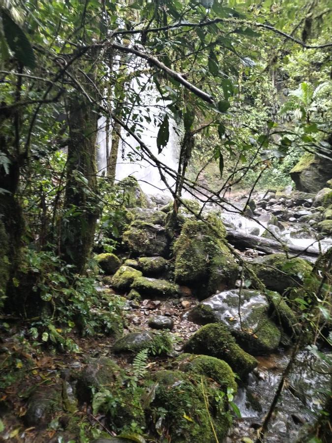 Campestre House Villa Alto Boquete Buitenkant foto